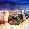 Sedimentazione