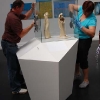 L`allestimento della mostra
